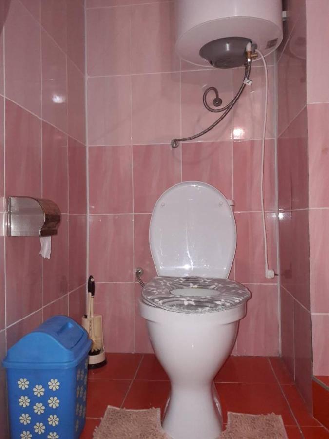 Kyzart Guesthouse Bagysh Экстерьер фото